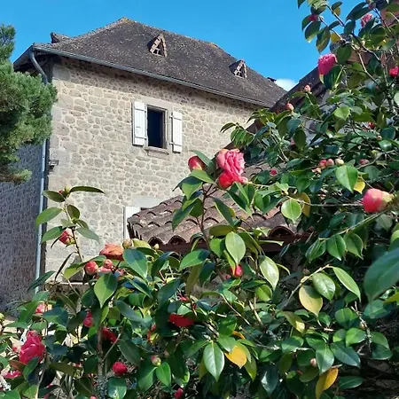 Διαμέρισμα Stone House With Hammam In Saint-estephe *