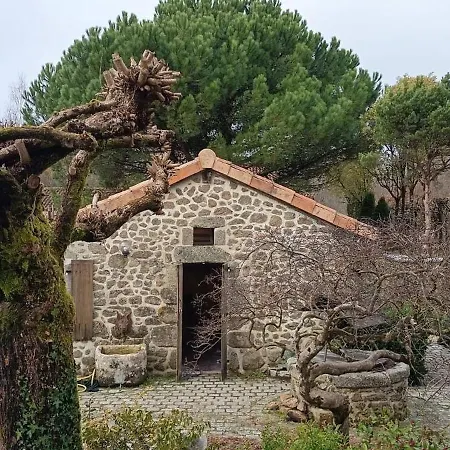 Stone House With Hammam In Saint-estephe *