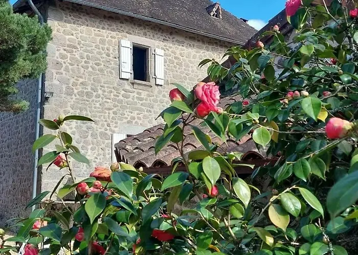 Lejlighed Stone House With Hammam In Saint-estephe *