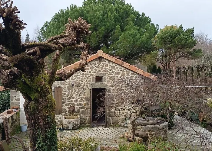Stone House With Hammam In Saint-estephe *